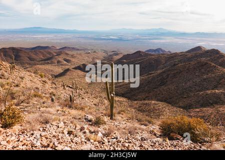 Randonnée dans le parc national de Saguaro, Tucson, Arizona.Abritant la plus grande espèce de cactus des États-Unis, ils étendent le paysage jusqu'à ce que l'œil puisse le voir Banque D'Images