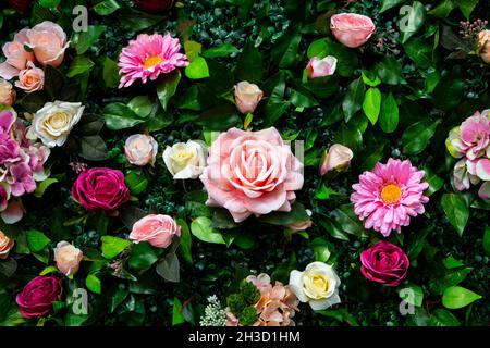 Mur de roses à Standon appelant 2021, Hertfordshire, du 22nd au 25th 2021 juillet Banque D'Images