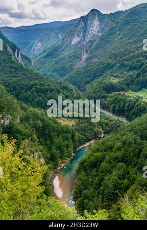 Baigné dans la lumière du soleil de la fin de l'été. La rivière Tara serpente à travers la gorge entre les falaises abruptes et les montagnes spectaculaires du nord du Monténégro, populaire destin Banque D'Images