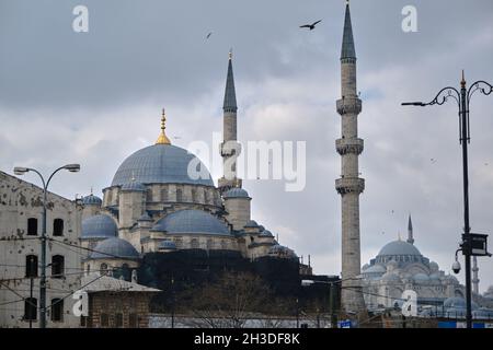 Les mosquées Yeni Cami et suleymaniye qui sont de grandes mosquées d'empire de pouf à istanbul turquie le matin avec des mouettes. Banque D'Images