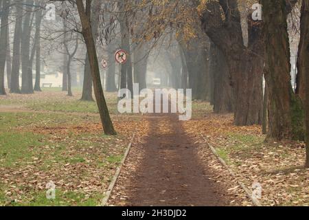 la piste de garniture extérieure dans la brume dans le parc avec quelques panneaux de signalisation Banque D'Images