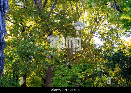 Méduses blanches suspendues dans les arbres du jardin botanique royal de Madrid comme décoration, en Espagne.Europe.Photographie horizontale. Banque D'Images