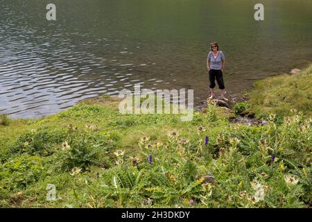 Une randonneur femelle rafraîchit ses pieds dans les eaux glacées de la Bachsee, Kanton Berne, Suisse : fleurs sauvages alpines au premier plan.MODÈLE LIBÉRÉ Banque D'Images