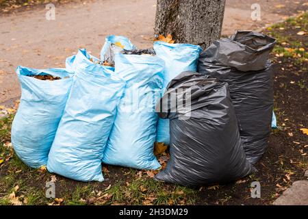 Plusieurs sacs poubelles avec feuilles mortes dans la rue. Banque D'Images