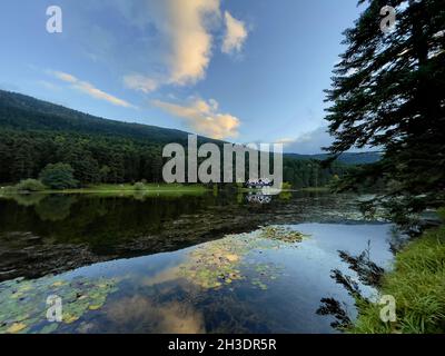 Lac dans le parc naturel de Golcuk, Bolu, Turquie Banque D'Images
