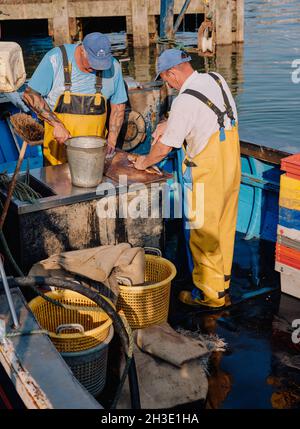 Des pêcheurs commerciaux actifs éviscérant leurs prises de poissons blancs à bord de leur bateau de pêche dans le Whitby North Yorkshire England UK Banque D'Images