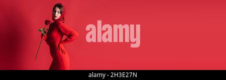 élégante jeune femme en robe tenant rose tout en posant avec la main sur la hanche sur rouge, bannière Banque D'Images