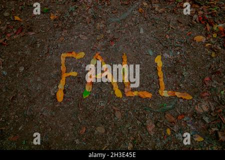 Texte d'automne écrit avec des feuilles brunes sur le sol de la forêt. Concept d'automne. Photo d'arrière-plan d'automne. Banque D'Images