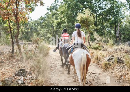 Vue arrière des personnes sans visage en calottes jockey et des vêtements décontractés assis en selle sur des chevaux avec des brides tout en montant près des arbres et des plantes dans la forêt i Banque D'Images