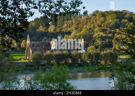 Abbaye de Tintern dans la vallée de Wye près de Chepstow. Banque D'Images