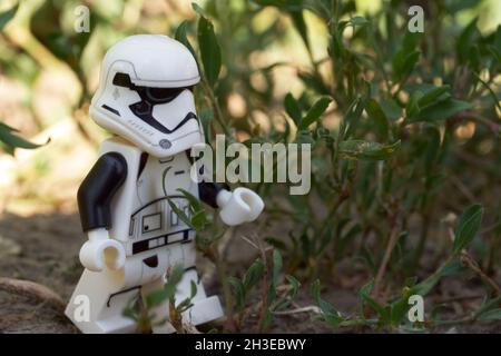 Chernihiv, Ukraine, 13 juillet 2021.Une promenade impériale de stormtrooper parmi les plantes, une figurine en plastique.Rédactionnel. Banque D'Images