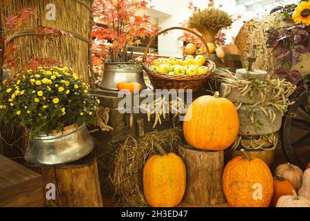 Composition décorative des fruits et légumes et des gerbes de blé sur le marché agricole.Citrouilles sur des balles de foin, des chrysanthèmes et des pommes dans le baske Banque D'Images