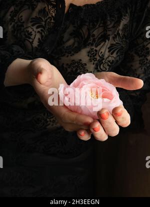 Rose rose de tissu fait main dans les mains d'une vieille femme artisan. L'art fragile de faire de belles fleurs. Gardez la fleur dans vos mains et Banque D'Images