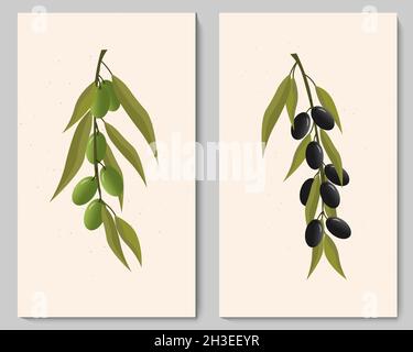 Modèle à deux affiches avec branches d'olive vertes et noires.Illustration vectorielle. Illustration de Vecteur