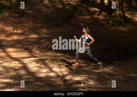 femme traversant une forêt de hêtres en automne Banque D'Images