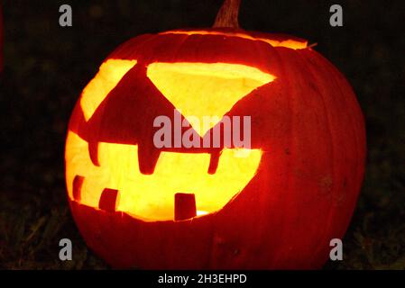 Halloween, Toussaint et Fête des morts, est un festival traditionnel païen originaire des îles anglo-celtiques et célébré le soir du 31 octobre, veille de la Fête catholique de tous les Saints.Les lanternes de Jack o faites de citrouilles décorent les maisons et les entreprises pendant la période de la Toussaint et sont un plaisir pour les enfants.26 octobre 2021, à Strasbourg, dans le nord-est de la France.Photo de Nicolas Roses/ABACAPRESS.COM Banque D'Images