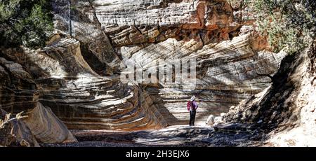 Une randonnée à travers Lick Wash, un lointain canyon affluent de Upper Buckskin Gulch dans l'Utah près de Kanab. Banque D'Images