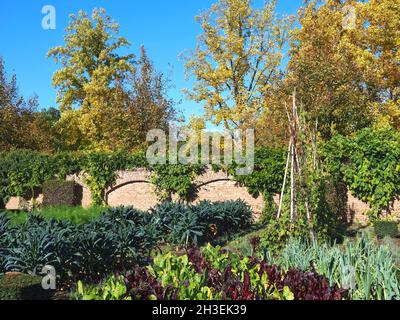 Jardin potager agréable et soigné en automne Banque D'Images