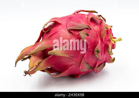 Dragon fruit, pitaya sur fond blanc avec ombre.Un pitaya ou pitahaya est le fruit de plusieurs espèces de cactus indigènes aux Amériques.Gros plan Banque D'Images