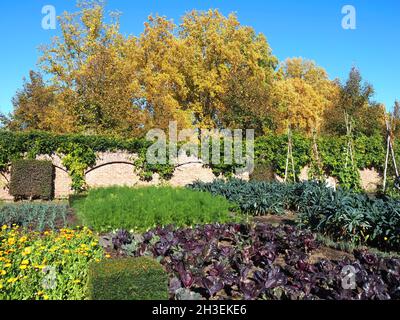 Jardin potager agréable et soigné en automne Banque D'Images