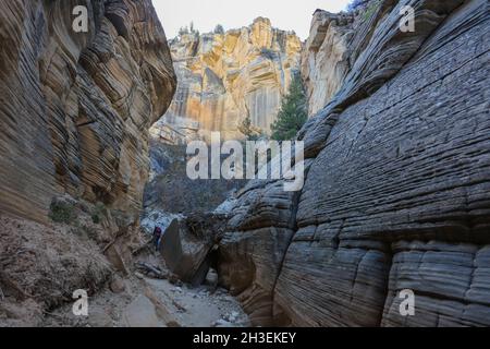 Une randonnée à travers Lick Wash, un lointain canyon affluent de Upper Buckskin Gulch dans l'Utah près de Kanab. Banque D'Images