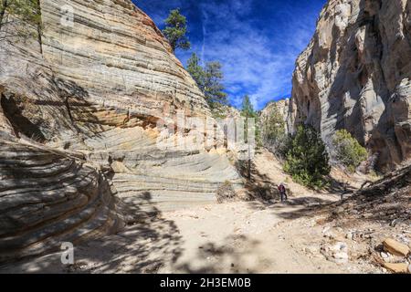 Une randonnée à travers Lick Wash, un lointain canyon affluent de Upper Buckskin Gulch dans l'Utah près de Kanab. Banque D'Images