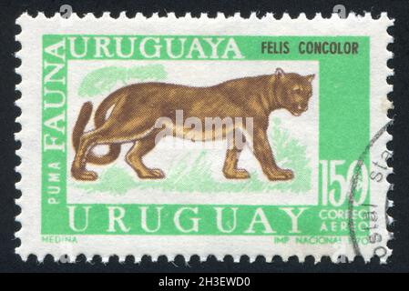 URUGUAY - VERS 1970: Timbre imprimé par l'Uruguay, montre Puma, vers 1970 Banque D'Images