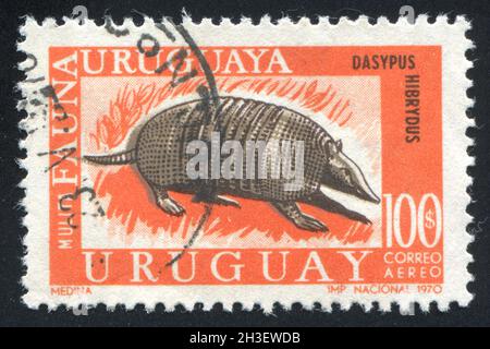 URUGUAY - VERS 1970: Timbre imprimé par l'Uruguay, montre Mulita Armadillo, vers 1970 Banque D'Images