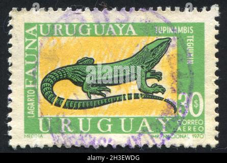 URUGUAY - VERS 1970: Timbre imprimé par l'Uruguay, montre Lizard, vers 1970 Banque D'Images