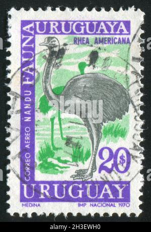 URUGUAY - VERS 1970: Timbre imprimé par l'Uruguay, montre Nandu, vers 1970 Banque D'Images