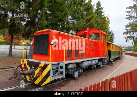 Petit train à voie étroite dans la vallée de Szalajka Szilvasvarad Hongrie . Banque D'Images