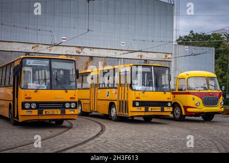 Wroclaw, Pologne - 19 septembre 2021 : trois bus Ikarus et Skoda anciens vides devant le dépôt. Banque D'Images