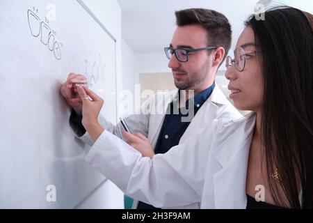 Deux chercheurs de dentiste étudient l'anatomie dentaire sur un tableau blanc. Banque D'Images