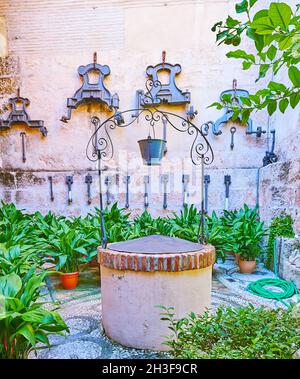 Le vieux puits et le petit jardin avec des plantes vertes en pots dans la cour de la basilique San Juan de Dios, Grenade, Espagne Banque D'Images