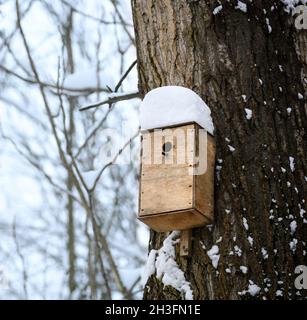 cabane à oiseaux en bois enneigée en hiver, accrochée sur un grand arbre, temps froid calme Banque D'Images