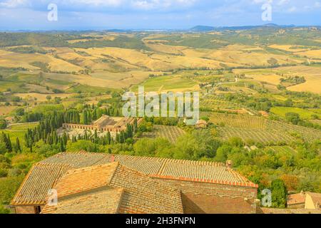 Les vignobles en terrasse de la Toscane village viticole Montepulciano en Toscane dans la campagne italienne.Vignoble du patrimoine de la région viticole de l'Italie Banque D'Images