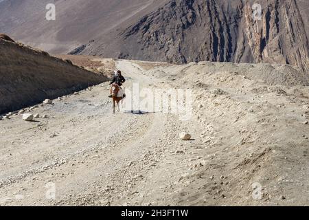 Kagbeni, Mustang District, Népal - 19 novembre 2016 : un cavalier népalais sur un cheval se déplace le long d'une route dans l'Himalaya.Muktinath Sadak Banque D'Images