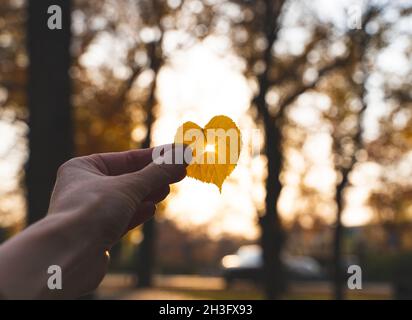 Feuille en forme de coeur jaune dans une main avec le soleil qui brille à travers elle Banque D'Images