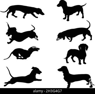 collection de silhouettes de dachshund - vecteur Illustration de Vecteur