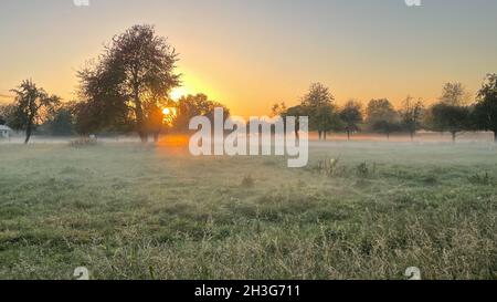 Coucher de soleil rural avec wafts de brume Banque D'Images