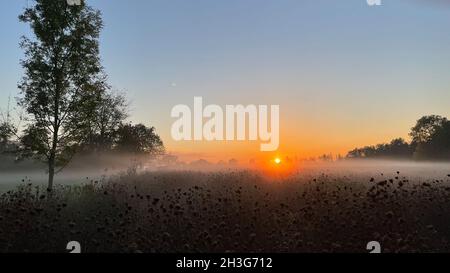 Coucher de soleil rural avec wafts de brume Banque D'Images