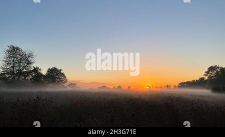 Coucher de soleil rural avec wafts de brume Banque D'Images