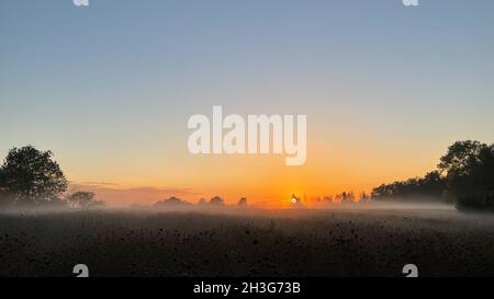 Coucher de soleil rural avec wafts de brume Banque D'Images