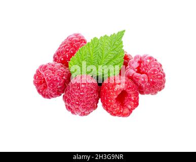 Baie de Raspberri avec des feuilles isolées sur fond blanc.Framboises rouges mûres gros plan.Collection. Banque D'Images