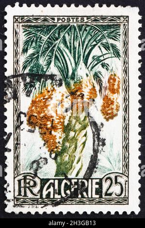 ALGÉRIE - VERS 1972: Un timbre imprimé en Algérie montre des dates sur le dattier, le phoenix dactylifera, les fruits comestibles doux, vers 1972 Banque D'Images