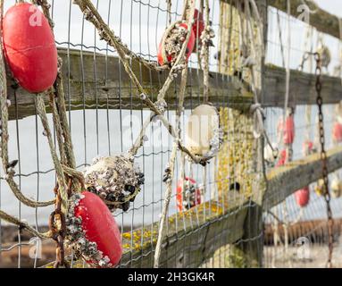 Filet de pêche avec flotteurs rouges accrochés sur une clôture en attendant un meilleur temps.Vue latérale, mise au point sélective, arrière-plan flou, personne Banque D'Images