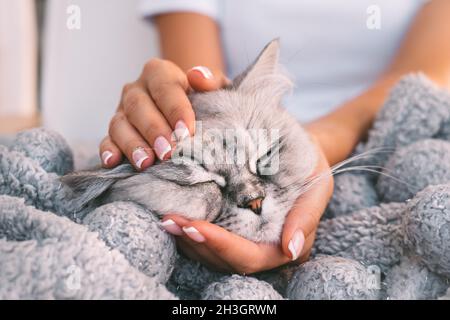 Une femme qui pète un joli chat dans une couverture chaude et confortable.Chat gris dormant dans les bras du propriétaire à la maison.Animaux de compagnie et amour humain.La vie domestique avec les animaux Banque D'Images