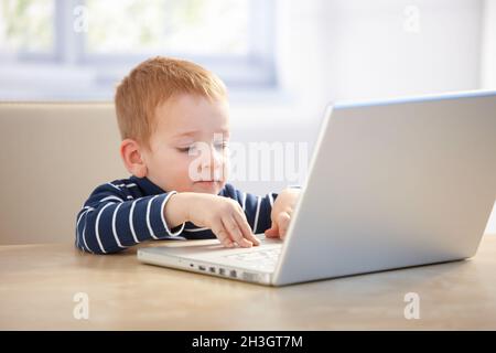 Petit homme d'affaires utilisant un ordinateur portable à la maison Banque D'Images