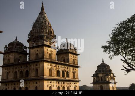 Chhatris à Orcha.Madhya Pradesh, Inde Banque D'Images