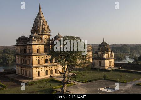 Chhatris à Orcha.Madhya Pradesh, Inde Banque D'Images